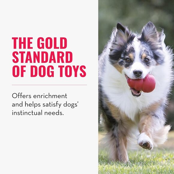 Classic Stuffable Dog Toy - Fetch & Chew Toy for Dogs - Treat-Filling Capabiliti - Picture 2 of 9